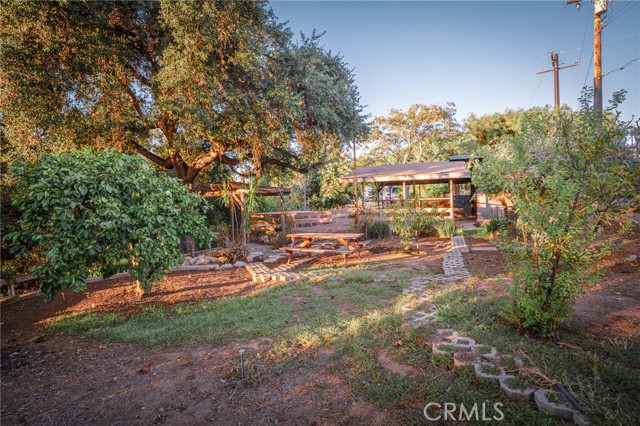 3455 Rancho Rio Bonita photo 41