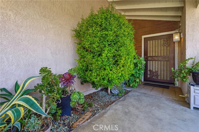 Detail Gallery Image 4 of 28 For 28326 Sun City Bld, Menifee,  CA 92586 - 3 Beds | 2 Baths