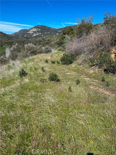 Detail Gallery Image 72 of 74 For 44981 Todd Eymann Rd, Miramonte,  CA 93641 - 1 Beds | 1 Baths