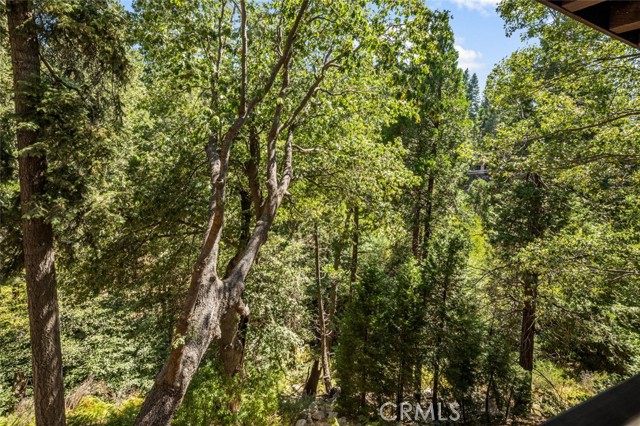 Detail Gallery Image 25 of 49 For 915 Trinity Dr, Lake Arrowhead,  CA 92352 - 4 Beds | 3/1 Baths