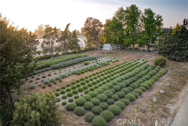Detail Gallery Image 38 of 65 For 1160 Easy Ln, Nipomo,  CA 93444 - 7 Beds | 6/1 Baths