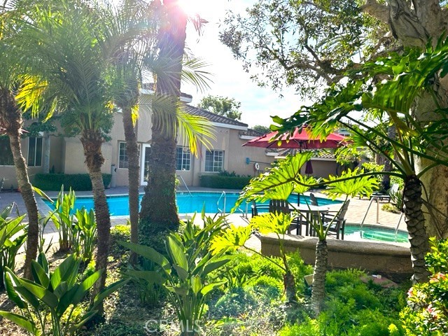 view to the swimming pool