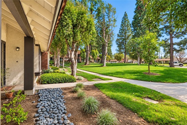 206 San Luis Rey photo 23