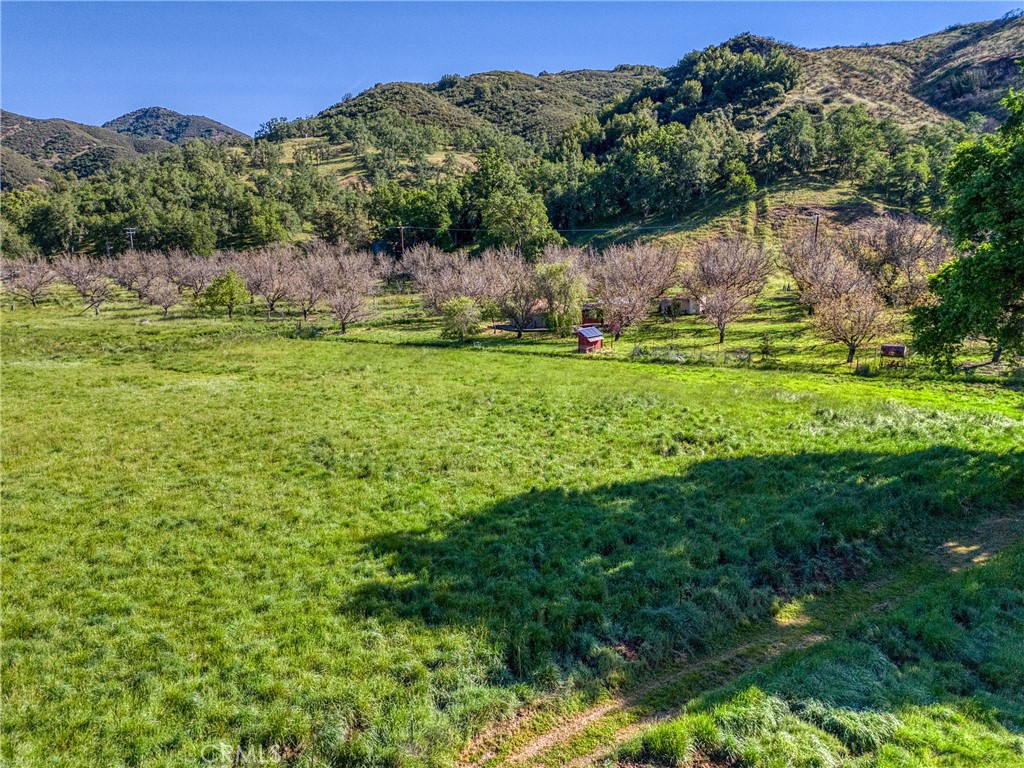https://media.crmls.org/medias/f6942096-2519-4ab1-8075-633e8f15da49.jpg?preset=X-Large