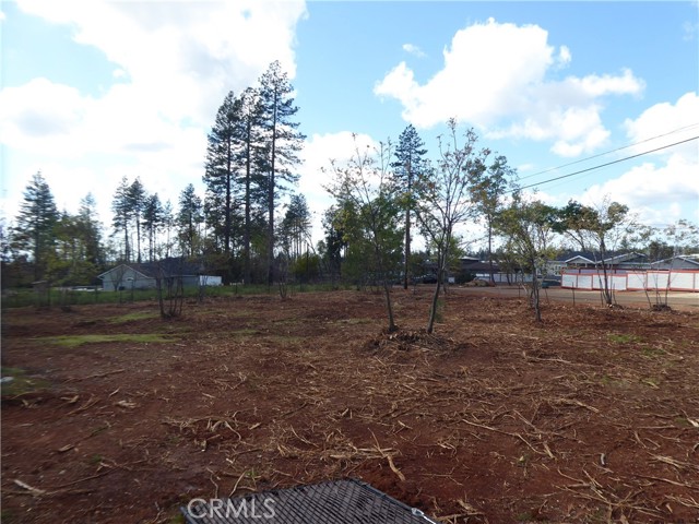 1361 Kerr Lane, Paradise, California 95969, ,Land,For Sale,1361 Kerr Lane,CRPA23152318