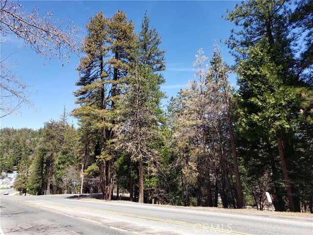 0 San Moritz Drive, Crestline, California 92325, ,Land,For Sale,0 San Moritz Drive,CRRW23155843