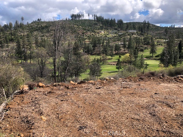 Front Image Thumbnail for CRLC25268349