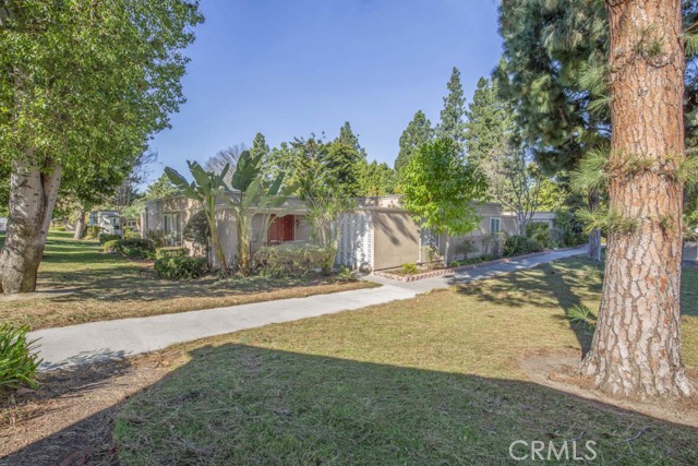 243 Calle Aragon, Laguna Woods CA: https://media.crmls.org/medias/f6a69316-dd92-4461-a2e6-e6215306d8cf.jpg