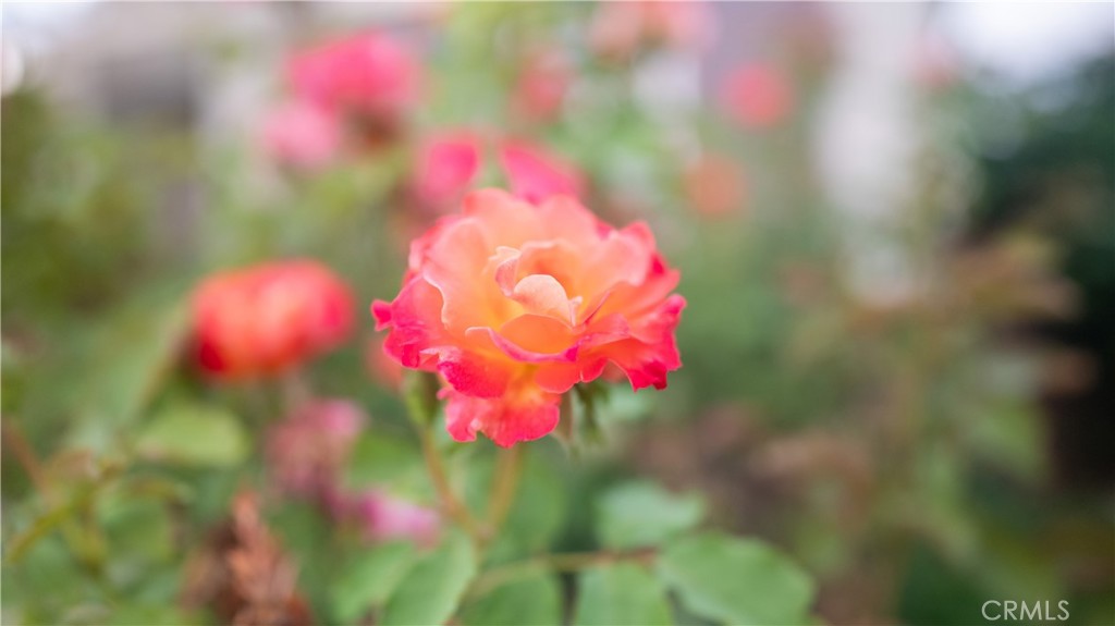 https://media.crmls.org/medias/f6a86f36-6f1e-494f-8a74-2fbf5bd14a19.jpg?preset=X-Large