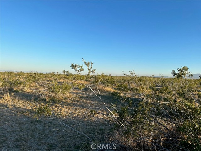 0 Crippen Avenue, Adelanto, California 92301, ,Land,For Sale,0 Crippen Avenue,CRHD23188745