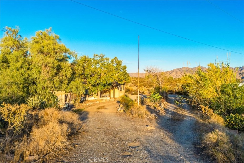 MLS #JT25260931 image #46