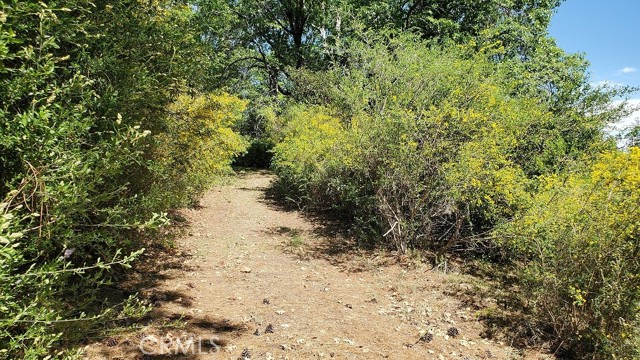 Detail Gallery Image 2 of 12 For 11890 Loch Lomond, Loch Lomond,  CA 95461 - – Beds | – Baths