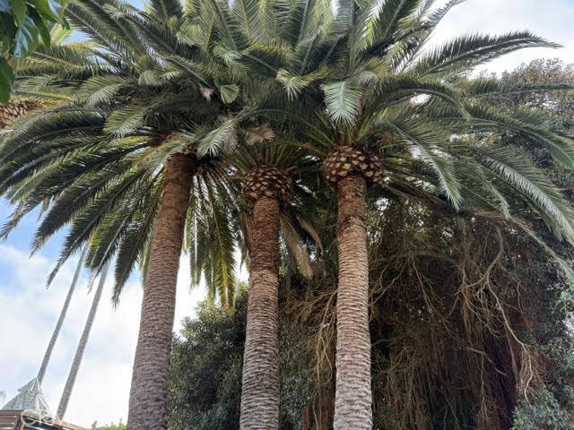 102 Trafalgar Lane, San Clemente CA: https://media.crmls.org/medias/f6be81d3-a231-4650-bd61-658e7029dec0.jpg