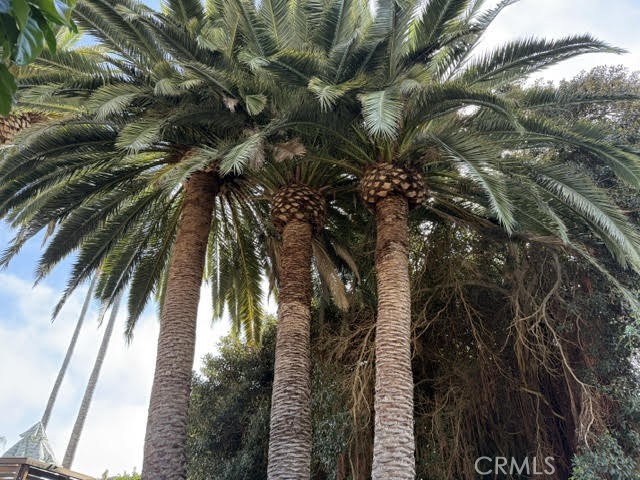 https://media.crmls.org/medias/f6be81d3-a231-4650-bd61-658e7029dec0.jpg?preset=X-Large