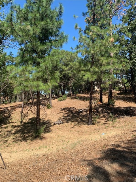 4896 Malibu Drive, Paradise, California 95969, ,Land,For Sale,4896 Malibu Drive,CRSN22148840