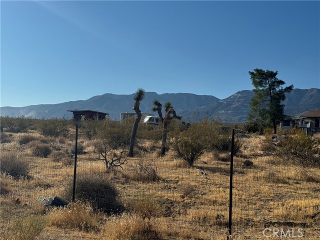 Detail Gallery Image 12 of 17 For 31633 Azurite Rd, Lucerne Valley,  CA 92356 - 1 Beds | 1 Baths