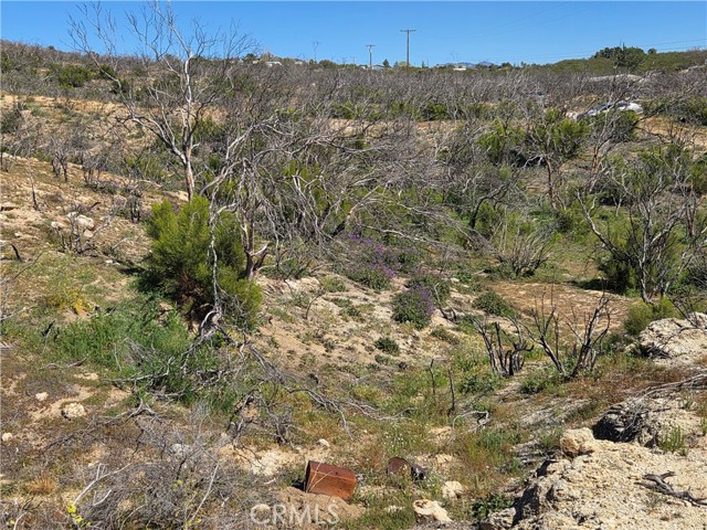 Detail Gallery Image 7 of 10 For 0 Howard, Anza,  CA 92539 - – Beds | – Baths