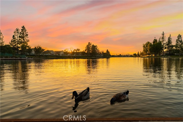 Detail Gallery Image 52 of 66 For 28955 via Marsala, Menifee,  CA 92584 - 4 Beds | 3 Baths