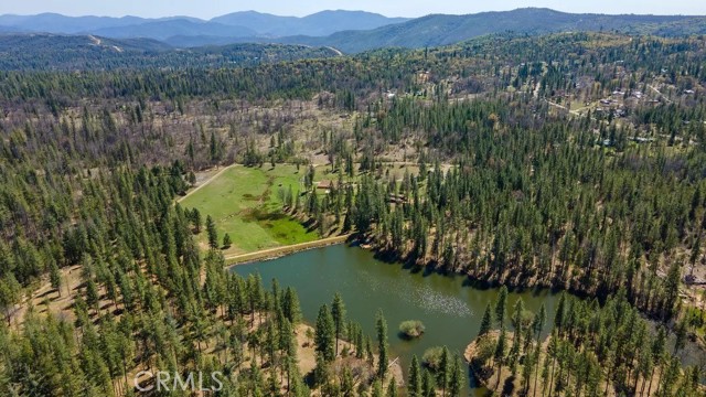 Detail Gallery Image 9 of 53 For 9850 Ernst Rd, Coulterville,  CA 95311 - 4 Beds | 3 Baths