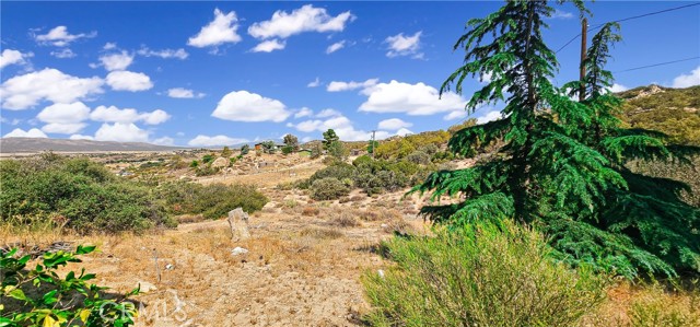 Detail Gallery Image 39 of 41 For 61300 Indian Paint Brush Rd, Anza,  CA 92539 - 4 Beds | 3 Baths