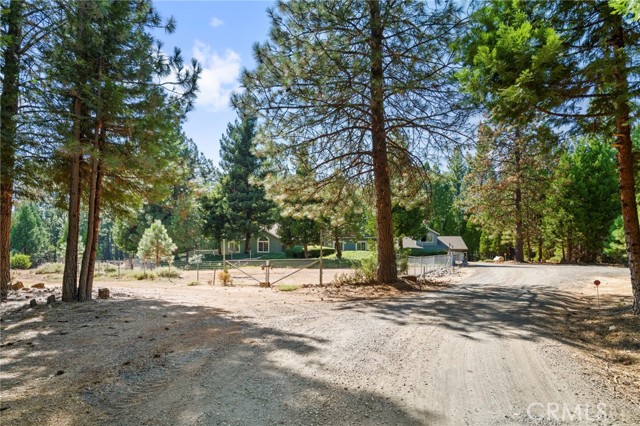 Detail Gallery Image 69 of 71 For 4731 Christina Dr, Forest Ranch,  CA 95942 - 3 Beds | 2/1 Baths