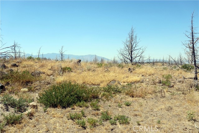 Detail Gallery Image 11 of 14 For 0 Juniper Valley, Weed,  CA 96094 - – Beds | – Baths