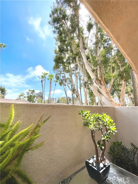 Detail Gallery Image 14 of 32 For 16 Villa Point Dr, Newport Beach,  CA 92660 - 1 Beds | 1 Baths