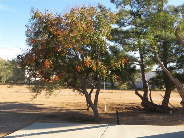 Detail Gallery Image 53 of 53 For 3840 Lupine, Rosamond,  CA 93560 - 4 Beds | 3 Baths