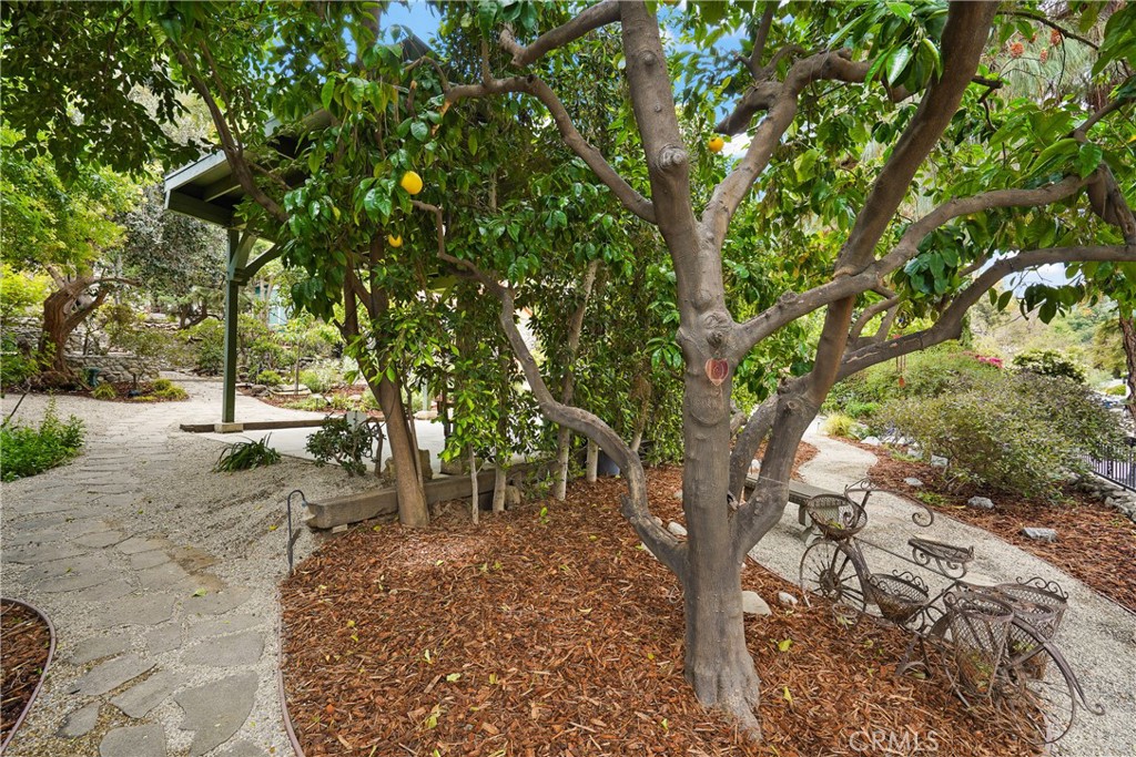 11022 Fruitland DriveStudio City img 15
