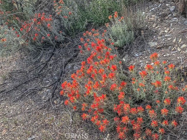 Detail Gallery Image 36 of 43 For 4743 Buffalo Gulch Rd, Midpines,  CA 95345 - – Beds | – Baths