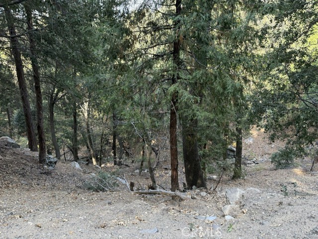 Detail Gallery Image 11 of 16 For 0 Mojave River Rd, Cedarpines Park,  CA 92322 - – Beds | – Baths