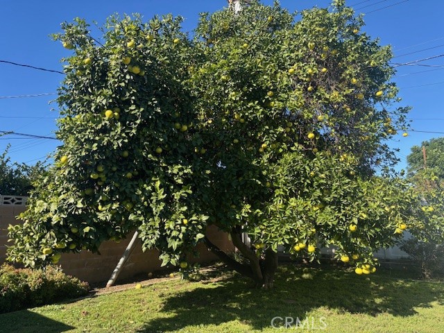 Detail Gallery Image 16 of 24 For 16245 Londelius, North Hills,  CA 91343 - 3 Beds | 1/1 Baths