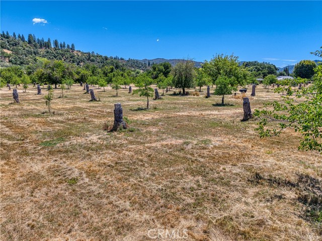 Detail Gallery Image 19 of 31 For 1286 Pitney Ln, Upper Lake,  CA 95485 - – Beds | – Baths