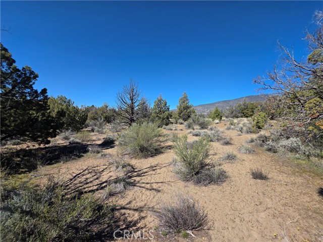 Detail Gallery Image 6 of 14 For 38 Blk 8 Lot 38 Karina Dr, Montague,  CA 96064 - – Beds | – Baths