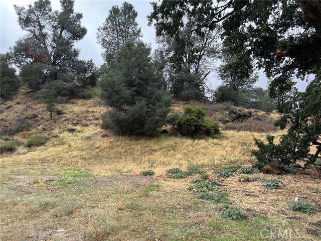 47751 Old Ridge, Gorman, CA, 93536 47751 Old Ridge, Gorman, CA, 93536