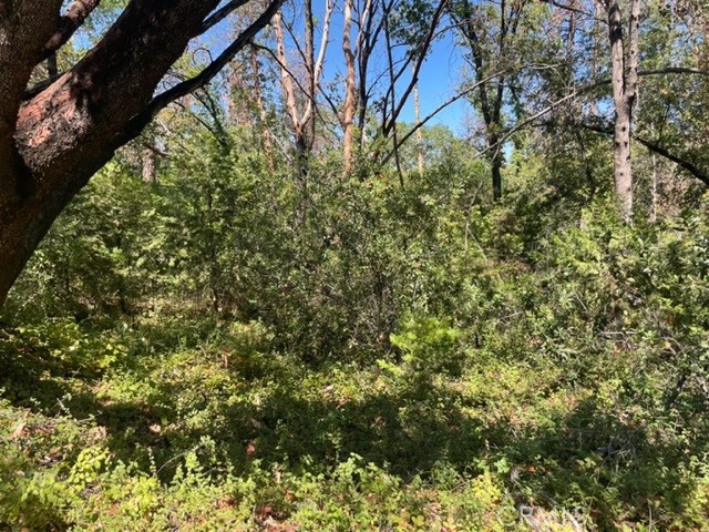 10 Broken Springs Road, Oroville, CA, 95966 10 Broken Springs Road, Oroville, CA, 95966