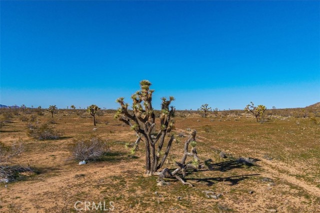Detail Gallery Image 39 of 45 For 58459 Starlight Mesa Rd, Yucca Valley,  CA 92284 - – Beds | – Baths