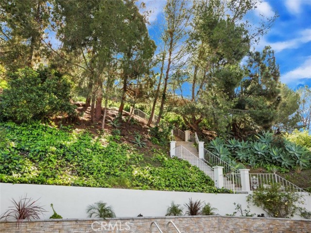 Backyard hillside