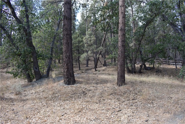 0 Logwood, Wrightwood, CA, 92397 0 Logwood, Wrightwood, CA, 92397