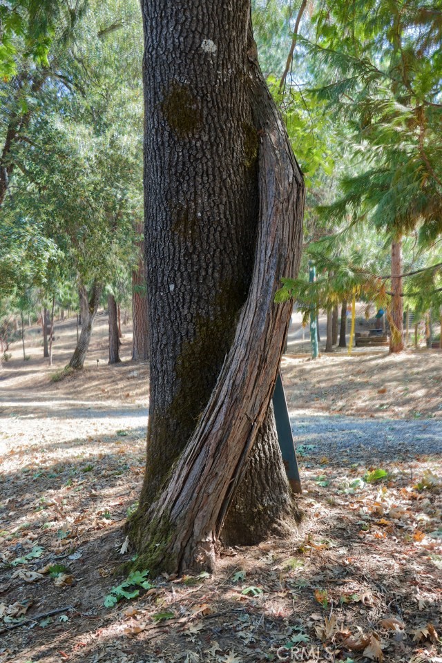 Detail Gallery Image 59 of 75 For 36555 Mudge Ranch Rd, Coarsegold,  CA 93614 - 3 Beds | 2 Baths