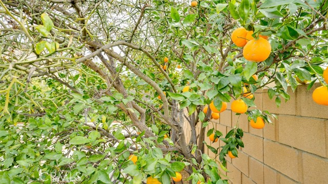 Detail Gallery Image 68 of 73 For 5005 Grand Ave, Montclair,  CA 91763 - 3 Beds | 2/1 Baths