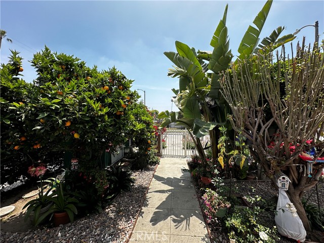 Image 2 for 903 W 66Th St, Los Angeles, CA 90044