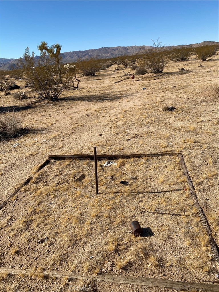 MLS #JT25227307 image #6