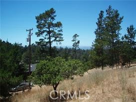 1650 Pierce, Cambria, California 93428, ,Land,For Sale,1650 Pierce,CRSC24028181