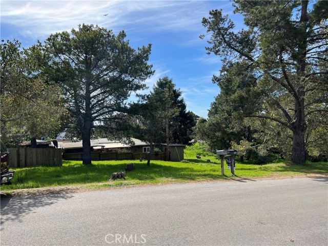 0 Benson Avenue, Cambria, California 93428, ,Land,For Sale,0 Benson Avenue,CRSC24044076