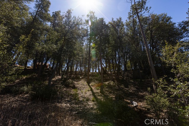 27799 Saunders Meadow Road, Idyllwild, CA, 92549 27799 Saunders Meadow Road, Idyllwild, CA, 92549