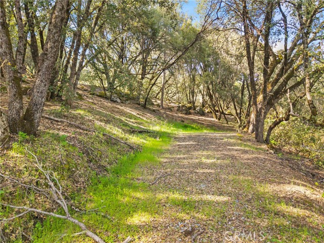 Detail Gallery Image 26 of 32 For 1371 Moccasin Trl, Placerville,  CA 95667 - – Beds | – Baths