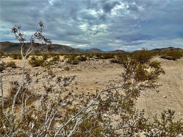 0 Utah Trail, Twentynine Palms, California 92277, ,Land,For Sale,0 Utah Trail,CRJT24014142