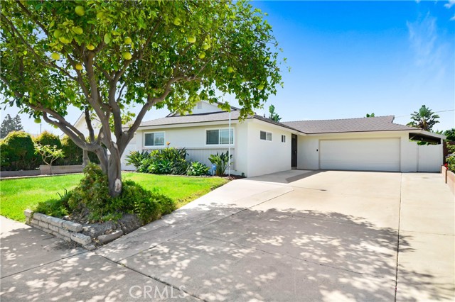 7722 Carla St, Garden Grove, CA 92841