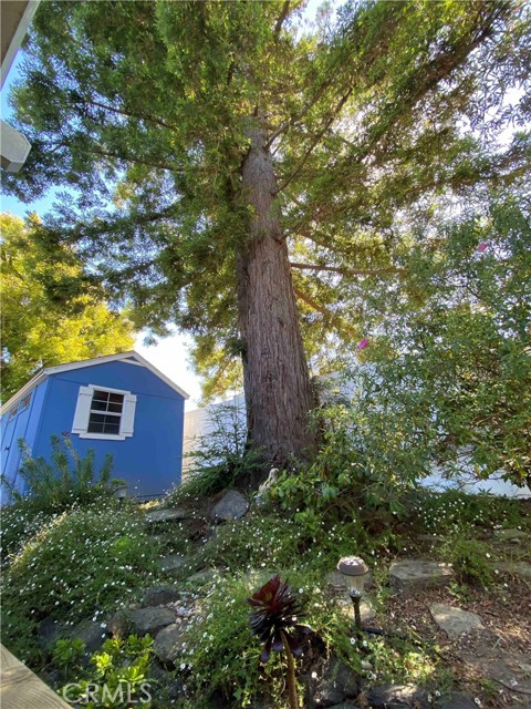 1911 Pineridge Drive, Cambria CA: https://media.crmls.org/medias/f72948eb-5bf3-401c-b4e2-589cfadc6f34.jpg